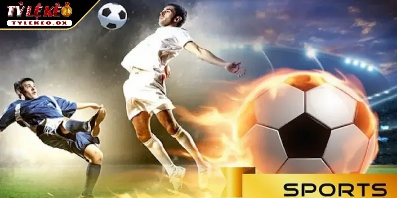 Tỷ Lệ Kèo 41 Đánh giá, chia sẻ thông tin về nhà cái cá cược uy tín