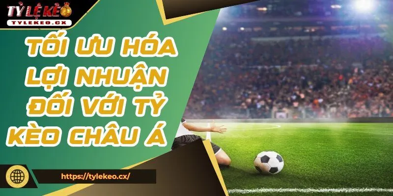 Áp dụng chiến thuật tối ưu hóa lợi nhuận đối với tỷ kèo châu Á  