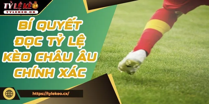 Tỷ Lệ Kèo Châu Âu - Phân Tích Và Dự Đoán Chính Xác Nhất 2 Chuyên gia chia sẻ bí quyết đọc tỷ lệ kèo châu Âu chính xác