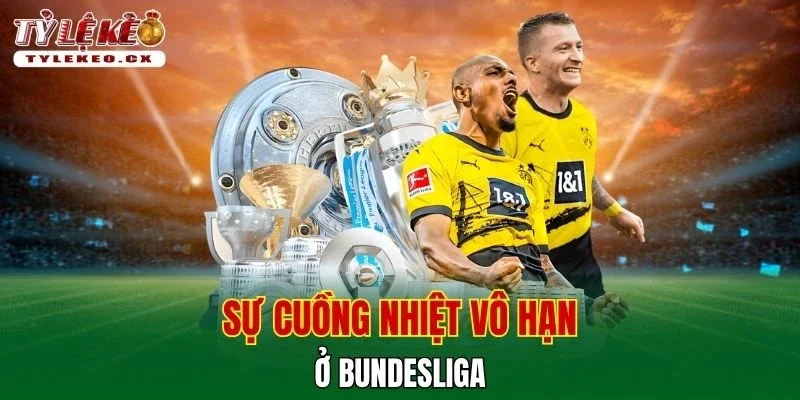 Tỷ Lệ Kèo 46 Sự cuồng nhiệt vô hạn ở Bundesliga